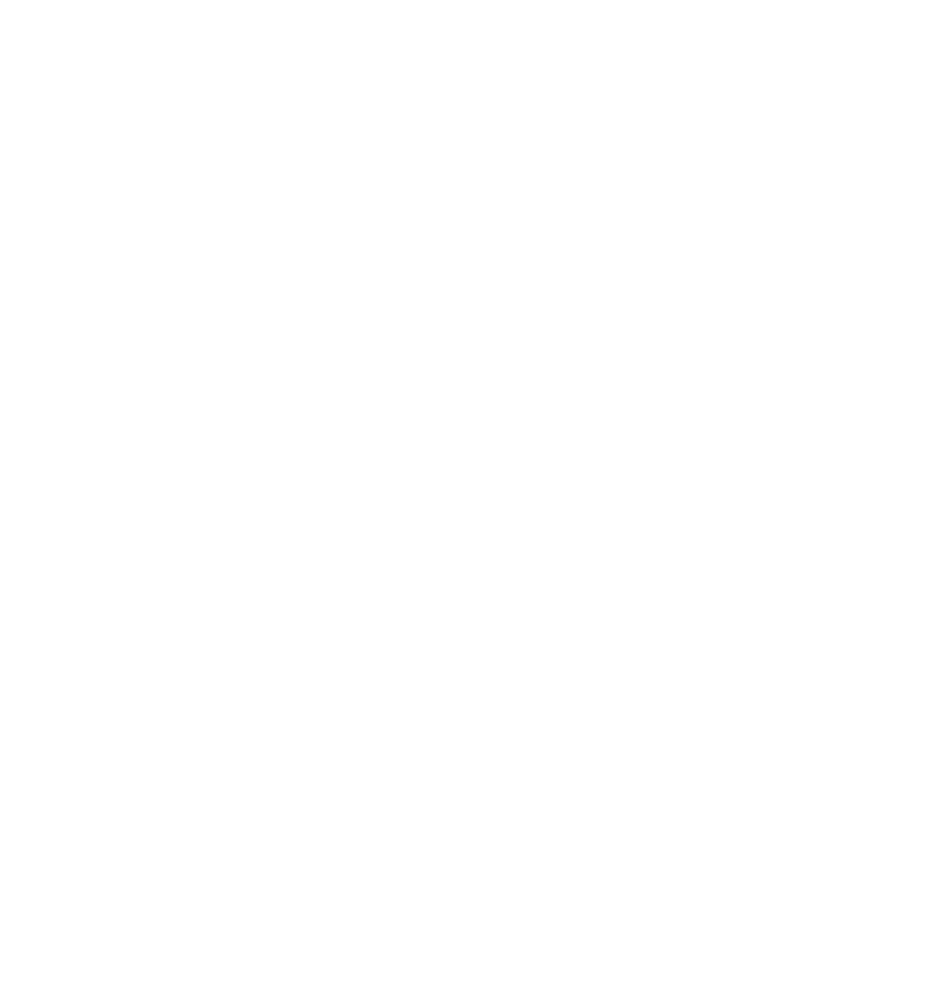 Veer - the chameleon mark